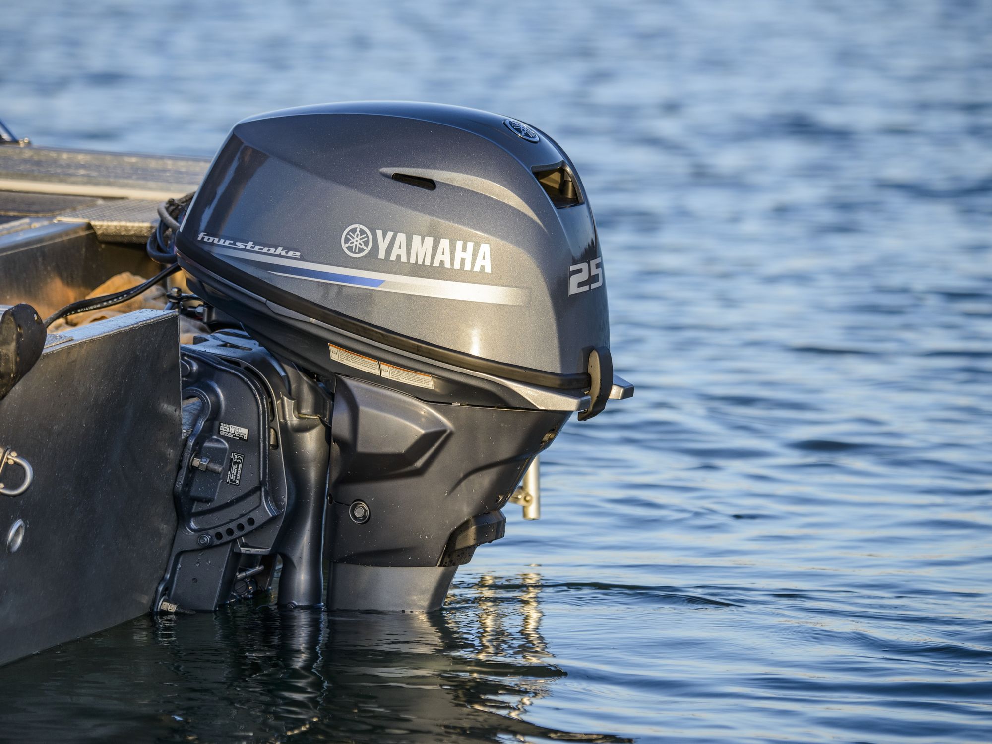 Моторы Yamaha